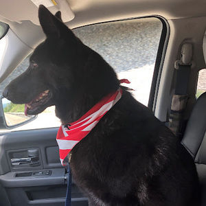 Meet your Posher, Chet